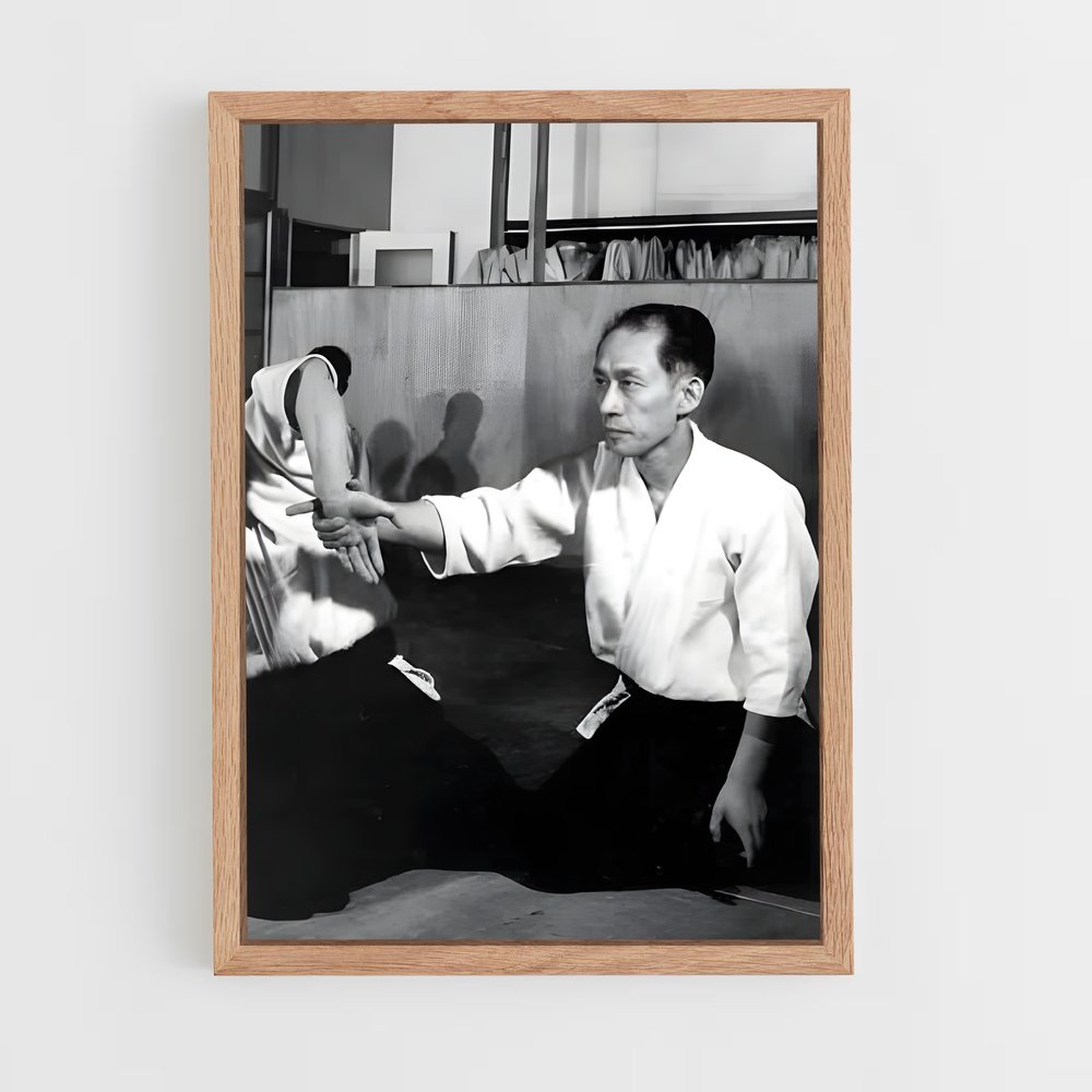 Poster Arts Martiaux: L'Alliance – affiche Aikido (vue 4)